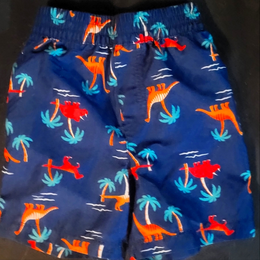 Dinosaur Stretchy Swimming Trunks